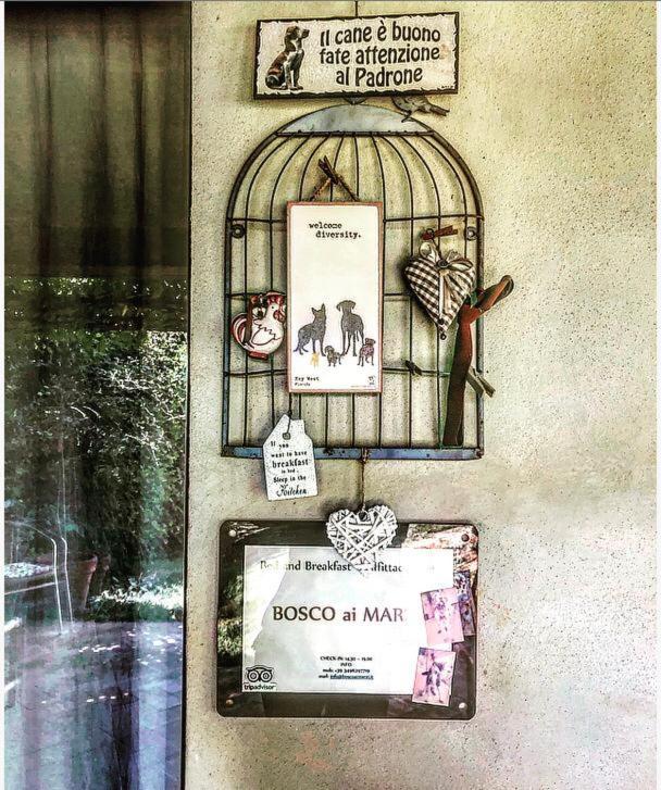 Bed and Breakfast Bosco Ai Marzi Poggibonsi Zewnętrze zdjęcie