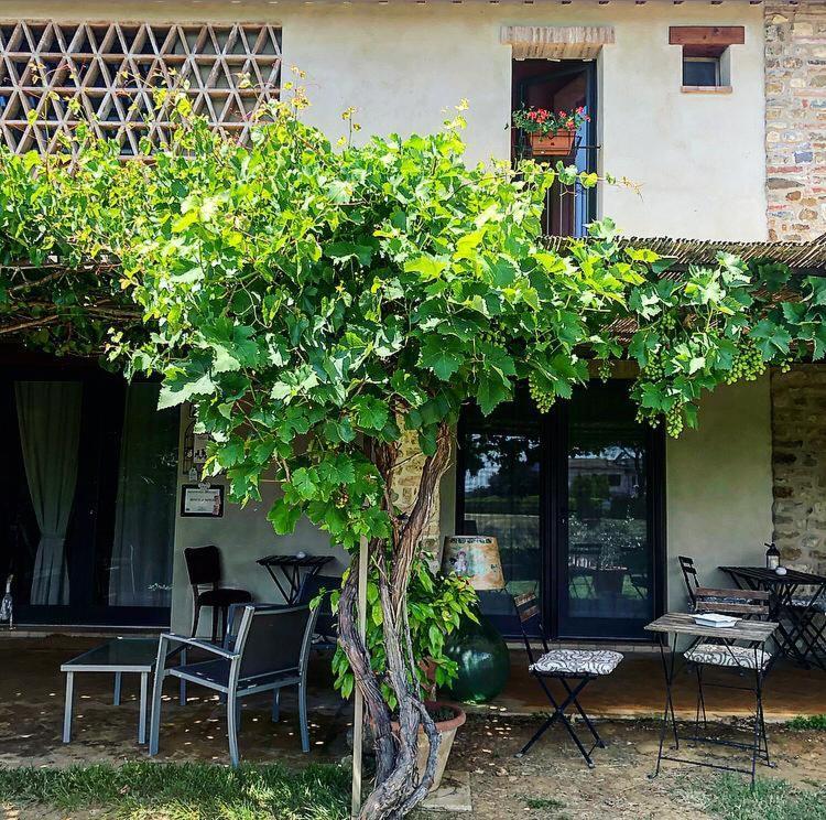 Bed and Breakfast Bosco Ai Marzi Poggibonsi Zewnętrze zdjęcie