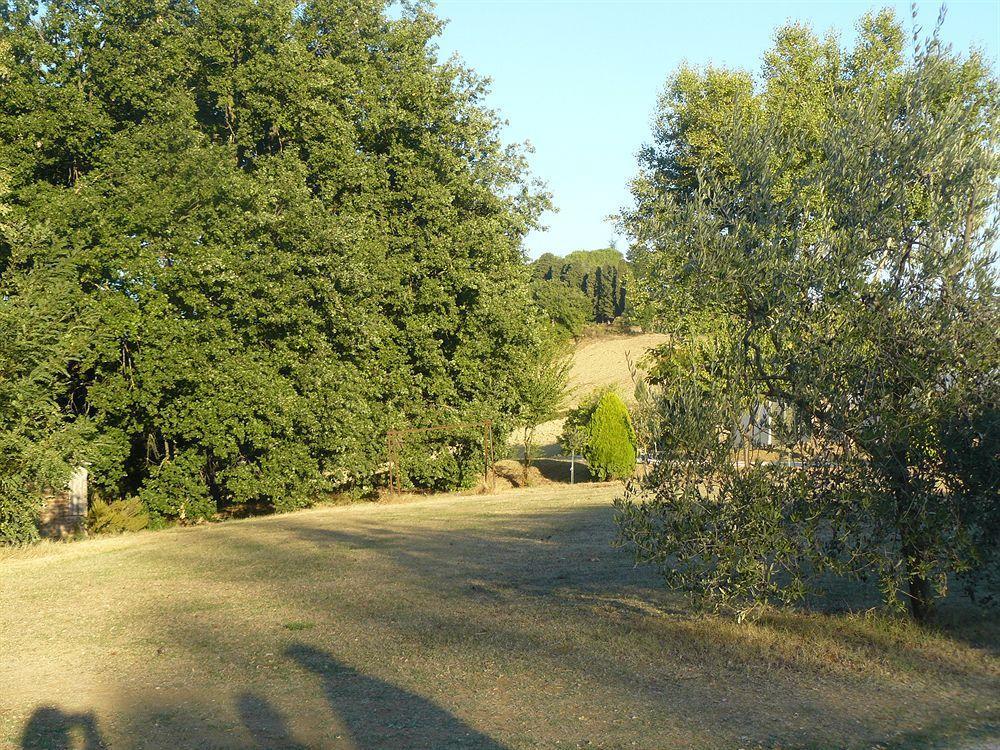 Bed and Breakfast Bosco Ai Marzi Poggibonsi Zewnętrze zdjęcie