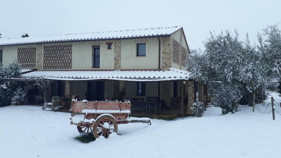Bed and Breakfast Bosco Ai Marzi Poggibonsi Zewnętrze zdjęcie