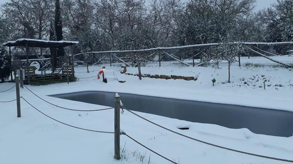Bed and Breakfast Bosco Ai Marzi Poggibonsi Zewnętrze zdjęcie